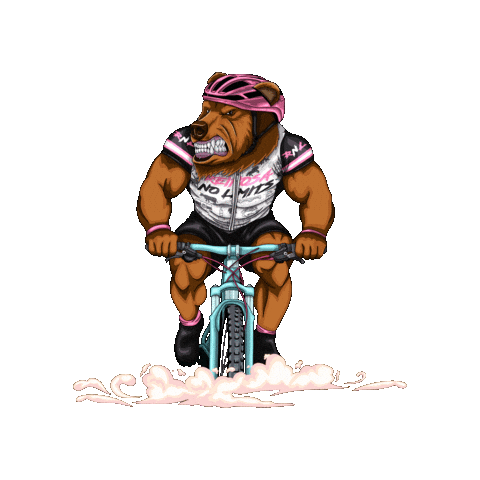 No Limits Team Sticker by ReinosaNoLimits