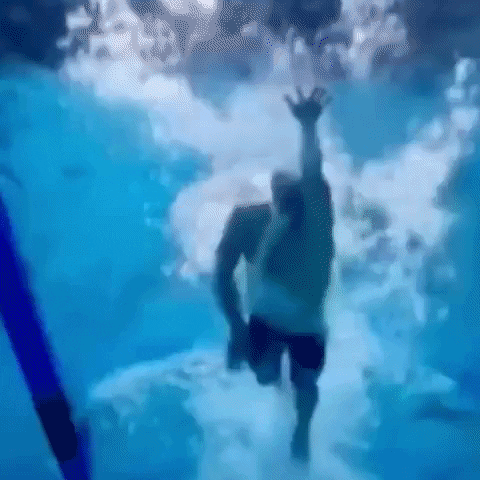 skillsnt giphyupload GIF