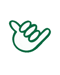 Unc Charlotte College Sticker by CLT Admissions