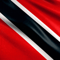 Jamaica Flags GIF by B3ckyb0oo