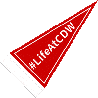 Proud Go Team Sticker by CDW Careers