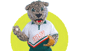 Let&#39;S Go Baseball Sticker by UniversityofLaVerne