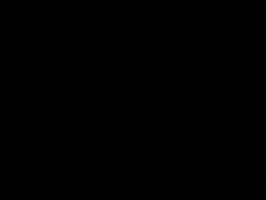 wijzijndex dex wijzijndex GIF