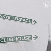 TwinSpires twinspires churchilldowns horseracing betting kyderby kentuckyderby louisville kentucky GIF