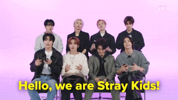 We are Stray Kids!