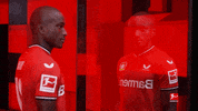 Leverkusen B04 GIF by Bundesliga