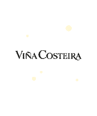 Perseidas Sticker by costeira