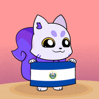 El Salvador Flag GIF by Lucky Kat Studios