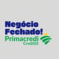 Bom Dia Ok GIF by Primacredi