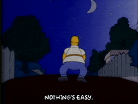 Season 1 Episode 3 GIF by The Simpsons