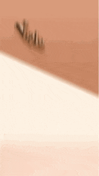 Valentine Nc GIF by NCSOFT