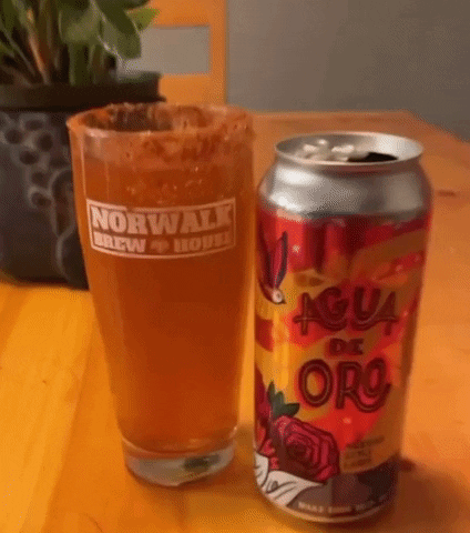 Cerveza Mexican Lager GIF by Norwalk Brew House