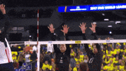 United States Usa GIF by Volleyball World
