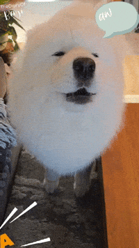 Howling Singing Dog GIF