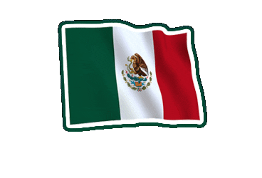 canelsusa giphyupload football win futbol Sticker