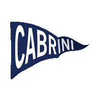 Wave Flag Sticker by Cabrini University