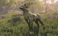 bethesda eso elder scrolls elder scrolls online teso GIF