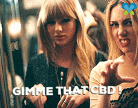 Taylor Swift Cat GIF by Imaginal Biotech