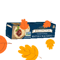 Fall Autumn Sticker by Wellington Crackers