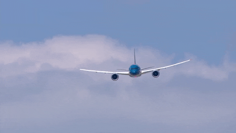 Airplane Aircraft GIF by Safran