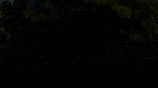 Film Art GIF by jorgemariozuleta