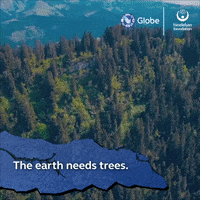 enjoyglobe  GIF