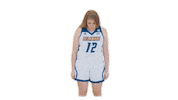 Basketball No Sticker by Delaware Blue Hens