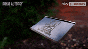 Do Not Touch History Channel GIF by Sky HISTORY UK