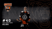 Ice Hockey GIF by Grizzlys Wolfsburg