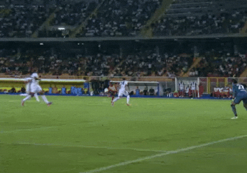 petrfrmel giphyupload GIF