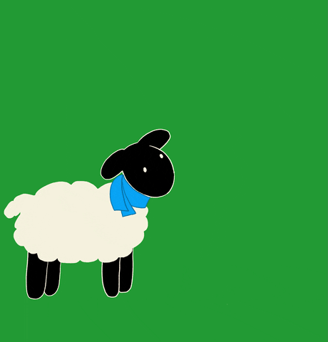 Sheep Cartwheel GIF by University College Dublin