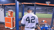 nyy GIF by MLB