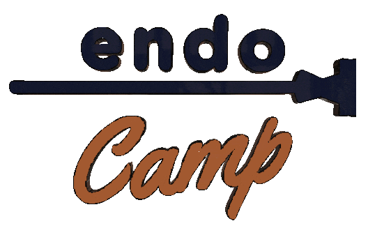 endoacademy giphyupload endo academy endoacademy endo camp Sticker