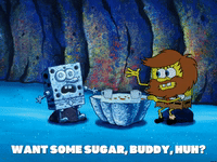 season 5 the two faces of squidward GIF by SpongeBob SquarePants
