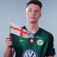 fifa 18 football GIF by VfL Wolfsburg