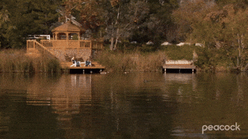 I Insist You Take A Sabbatical