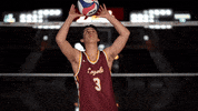 Loyola Chicago Sport GIF by LoyolaRamblers