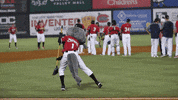 GIF by Carolina Mudcats Baseball