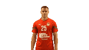 Cskahandball Sticker by CSKA men's handball club