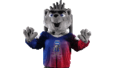 Sport Mascot Sticker by FinHockey