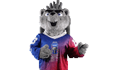 Sport Mascot Sticker by FinHockey