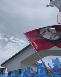 Siena College Ldf GIF