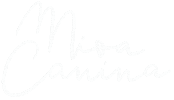 Lettering Typography Sticker