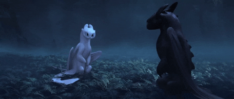 got to go dragons GIF by How To Train Your Dragon