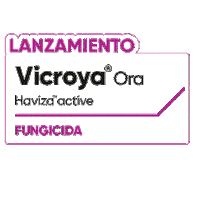 Vicroya Sticker by Cortevapy