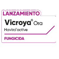 Vicroya Sticker by Cortevapy