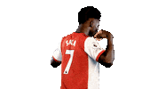 Football Celebrate Sticker by Arsenal