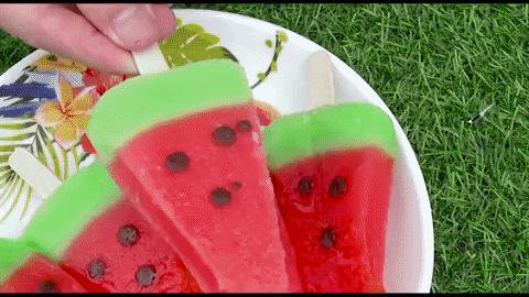 ExperimenMeatGrinder giphyupload funny ice cream watermelon GIF