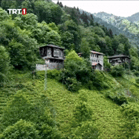 Fresh Air Home GIF by TRT