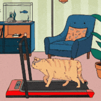 christinapencil fat cat orange cat ginger cat red cat GIF